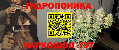 МДПВ Будённовск