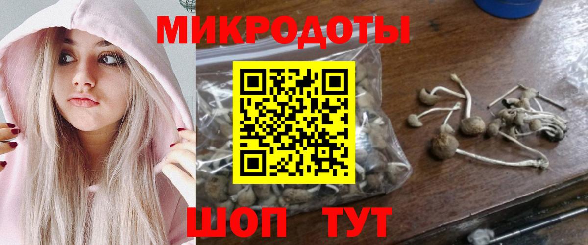 Галлюциногенные грибы Psilocybine cubensis Старый Оскол